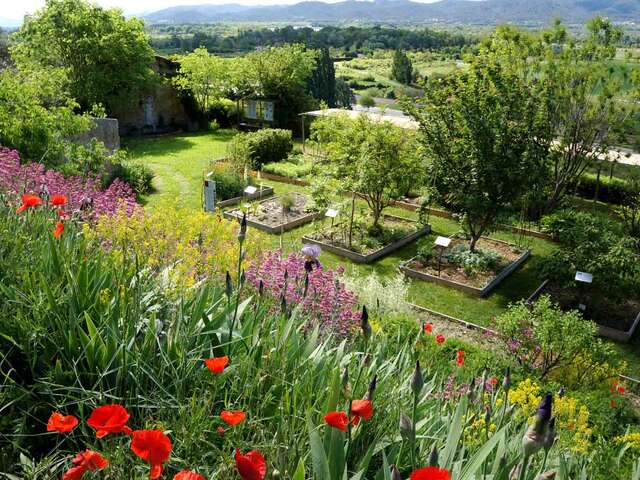 Jardin Conservatoire des plantes tinctoriales