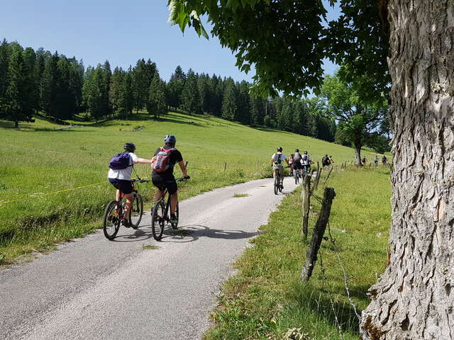 Haut-Bugey VTT - Fahrradverleih