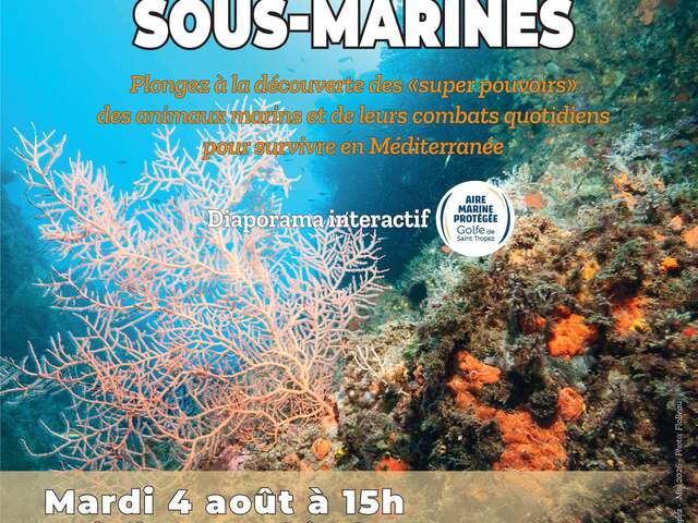 Diaporama interactif : Guerres et paix sous-marines