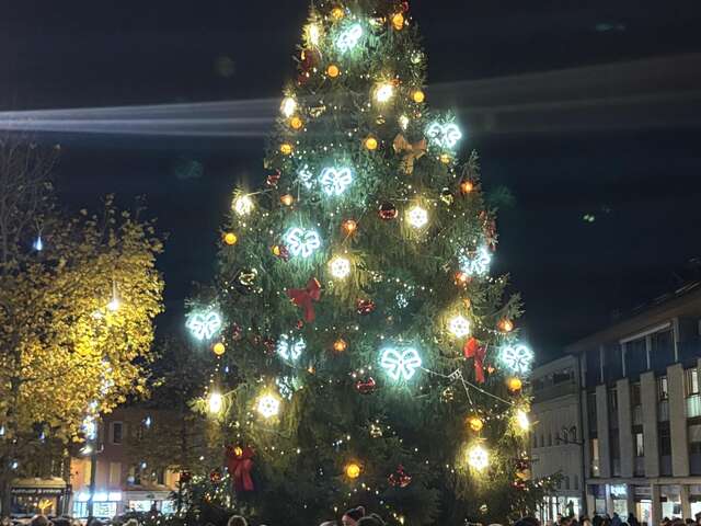 Illumination du sapin de Noël