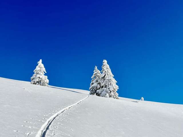 Col de cou en Hiver