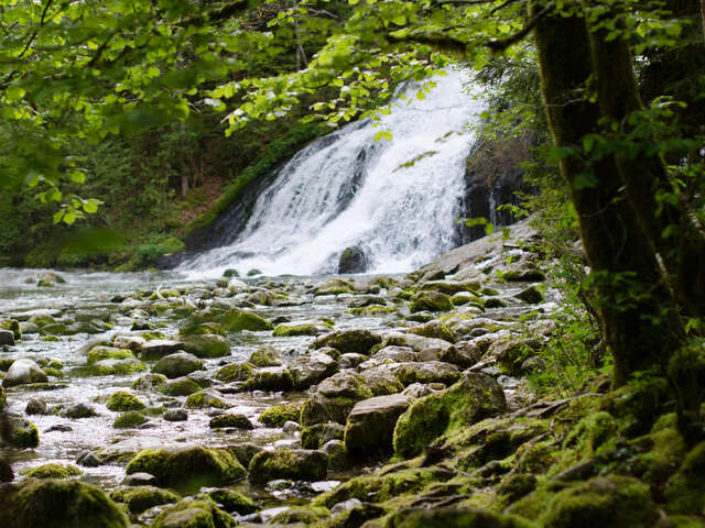 Anes et Flore - Cascade du Pissieu