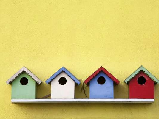 Atelier décoration de minis-nichoirs