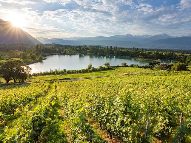 Chambéry et la route des vins de Savoie (1 jour)