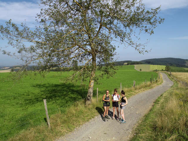 Chemin des crêtes