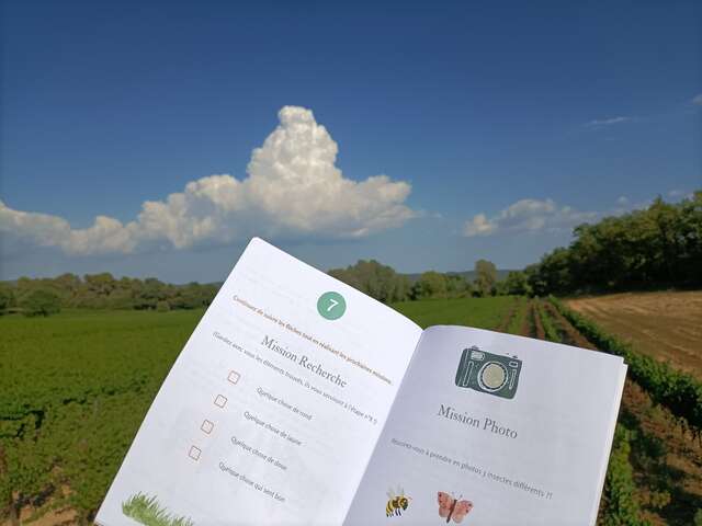 Jeu des Pitchouns au Domaine Le Novi à La Tour d'Aigues