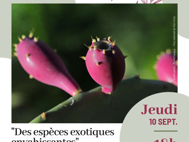 Environment conference: "Invasive alien species