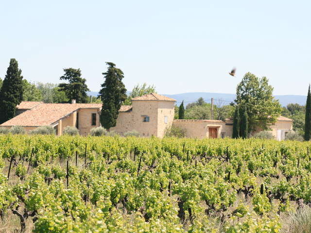 Accords mets & vins régionaux au Domaine de Mas Caron