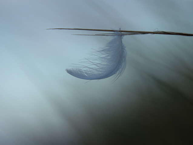 Balade photographique- Spécial photo minimaliste à La Pointe