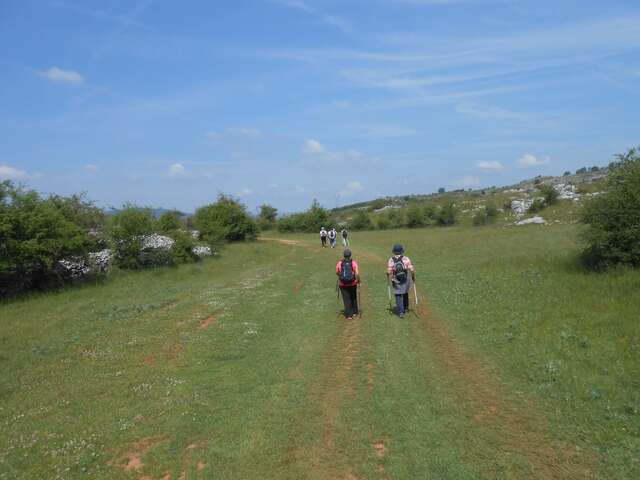 Un bain de forêt pour se ressourcer