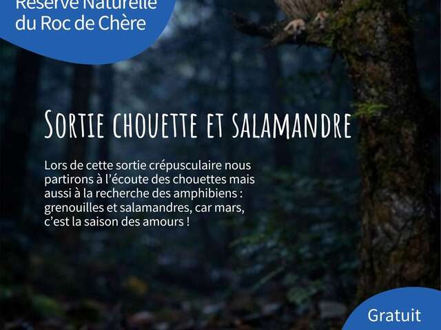Sortie Chouette et Salamandre