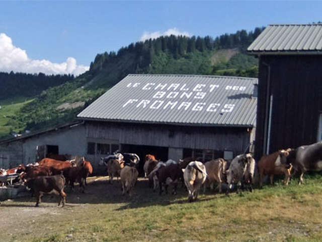 Fête de la vie d'alpage d'antan