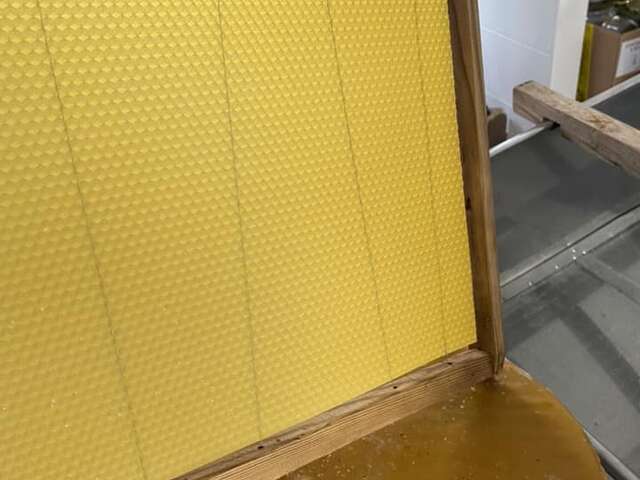 Le miel et les abeilles, un monde fascinant