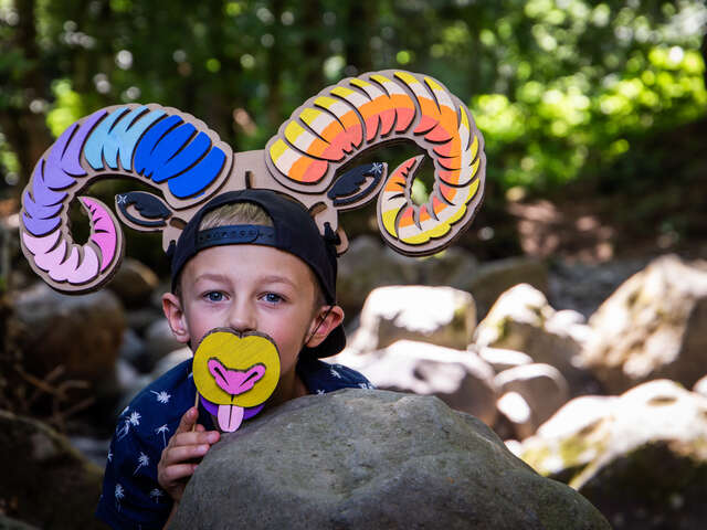 Atelier - Créations en Carton