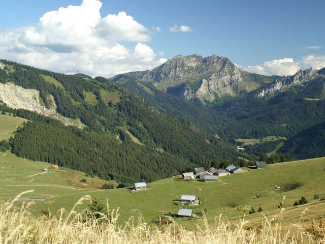 Randonnée au cœur des alpages de Vallon - Semaines du Géoparc