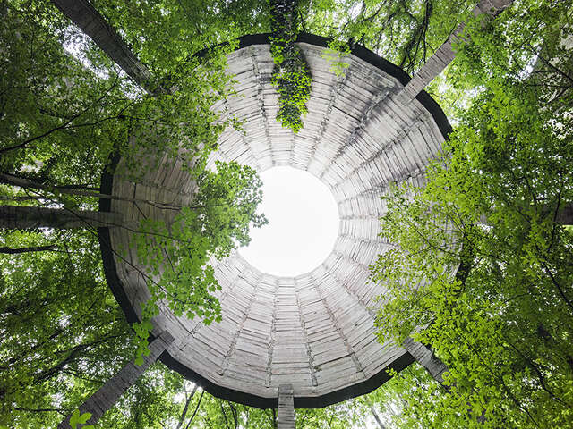 Exposition : Naturalia II