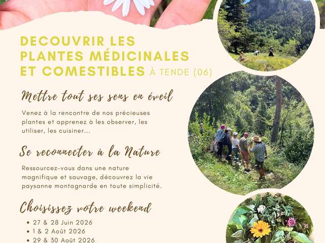 Discovering medicinal and edible plants