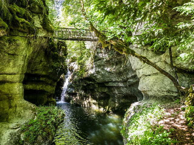 Le sentier du Cozon