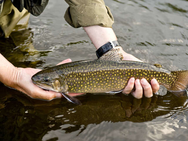 Découverte pêche surprise !