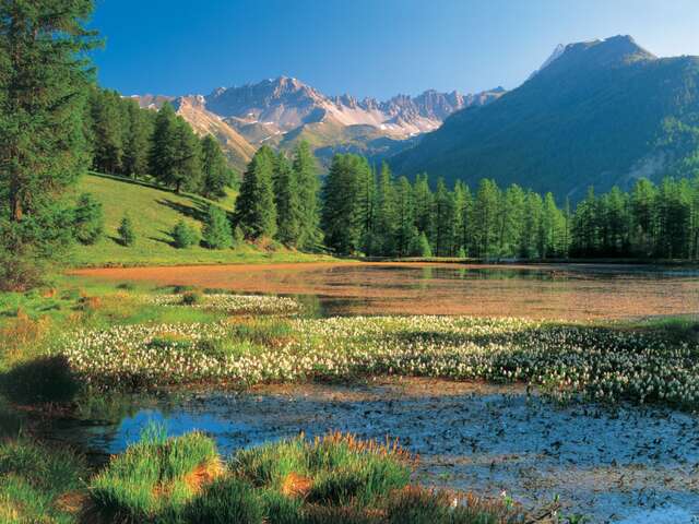 Lac de Roue