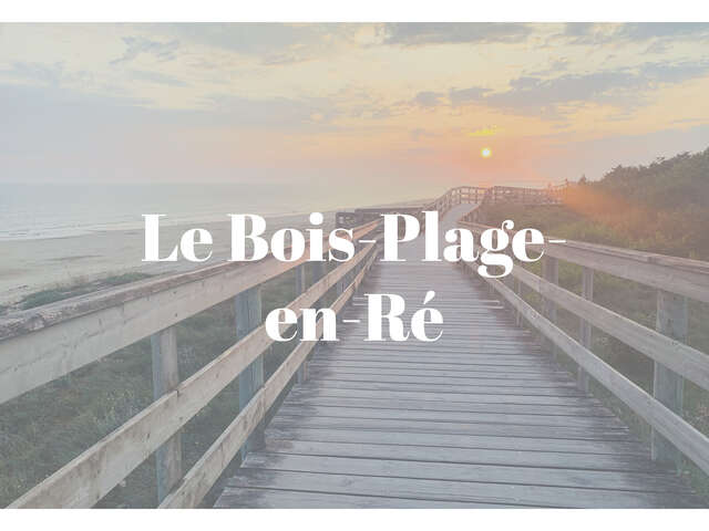 Fête de la citrouille