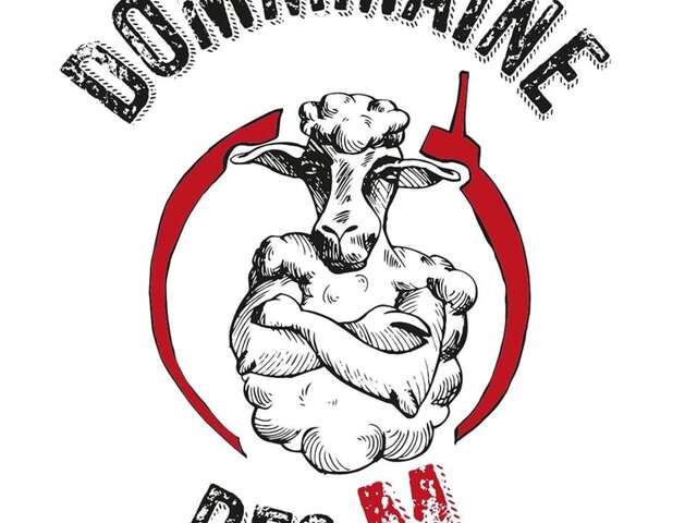 Visite du vignoble et de la cave - Dommmaine des M