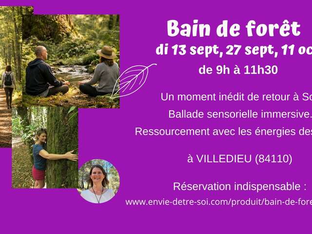 Bain de forêt expérience sensorielle de retour à Soi  -  Envie d'être soi