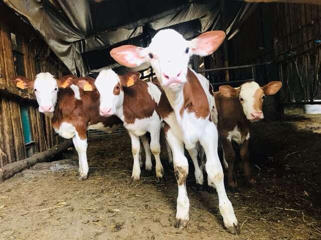 La Ferme de Chagne