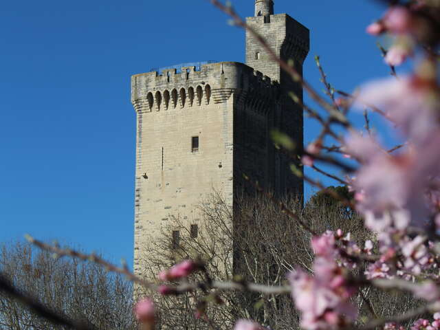 Tour Philippe-le-Bel