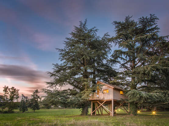 Les Cabanes de Marie - Domaine des Grands Cèdres