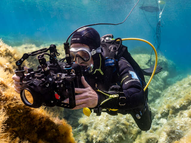 Live sous-marin commenté à Porquerolles
