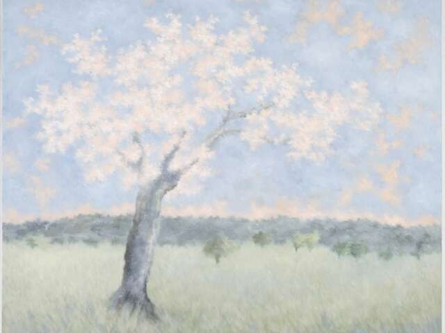 Atelier Galerie "Les Lumières du Vent" - Karibou