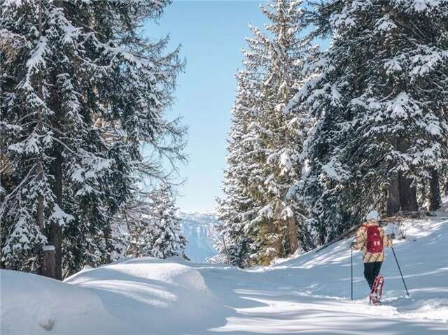 Boucle découverte du Plateau de la Ramée
