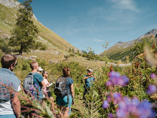 Mindfulness walk