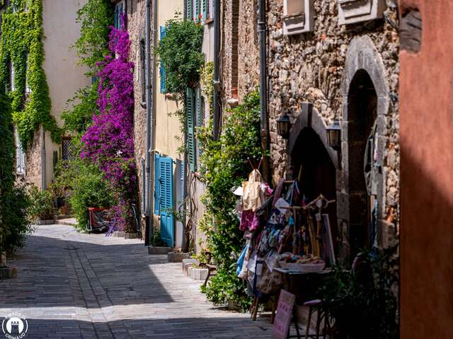 Der Bougainvillea-Spaziergang