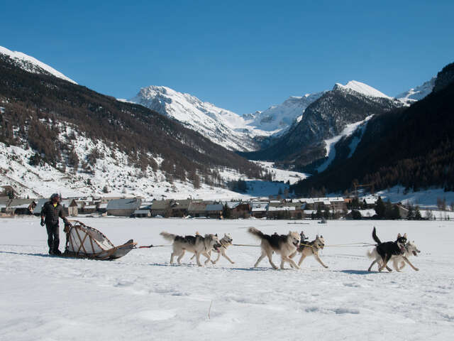 Balade en traîneaux à chiens