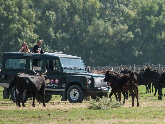 Camargue Autrement 4x4 Safari