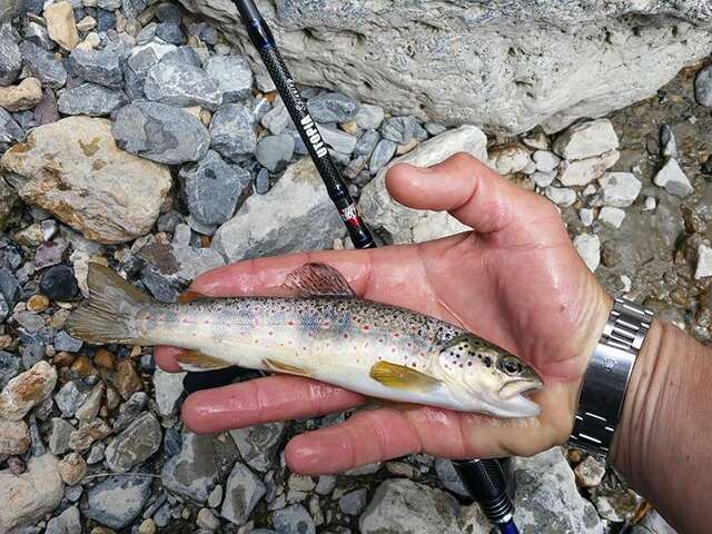 Pêche avec Yohann Fournier