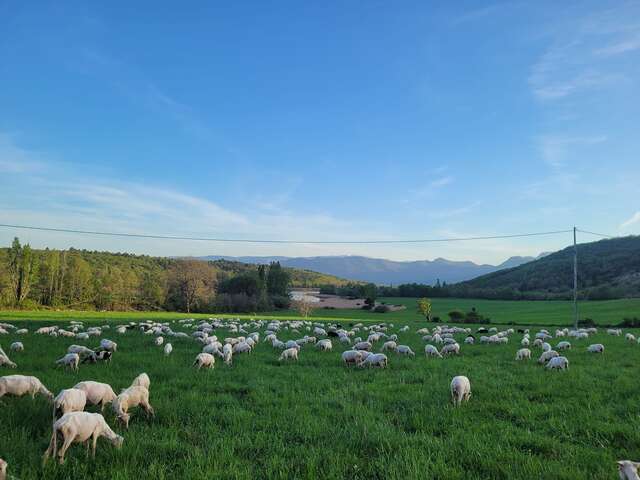 La Ferme des Riailles