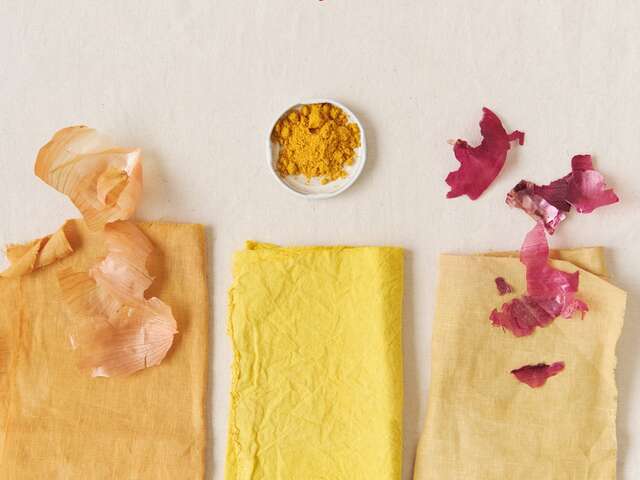 Atelier 7-13 ans au marais de Lavours : "Mes teintures nature"