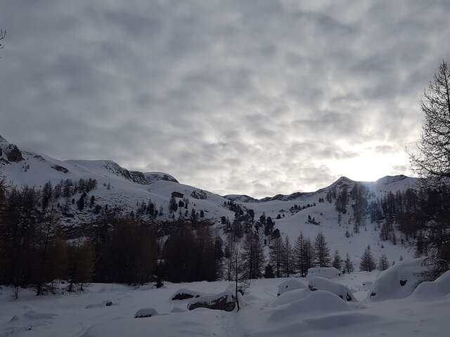 Balade gourmande à Ancelle - Accompagnateurs en montagne du Champsaur