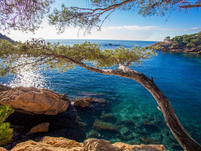 Parc marin de la Côte Bleue