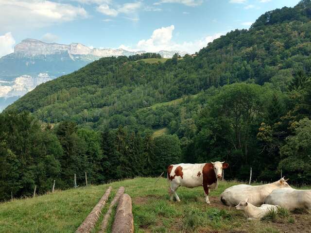 Randonnée : Les Adrets - Hurtières