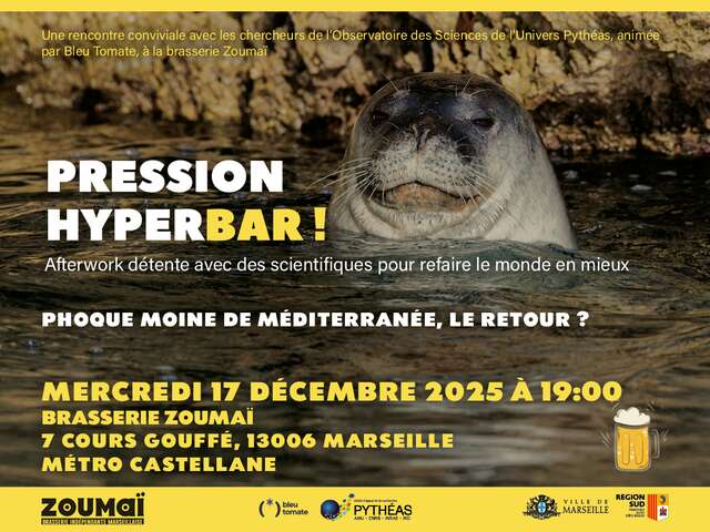 Pression hyperbar ! Phoque moine de Méditerranée, le retour ?