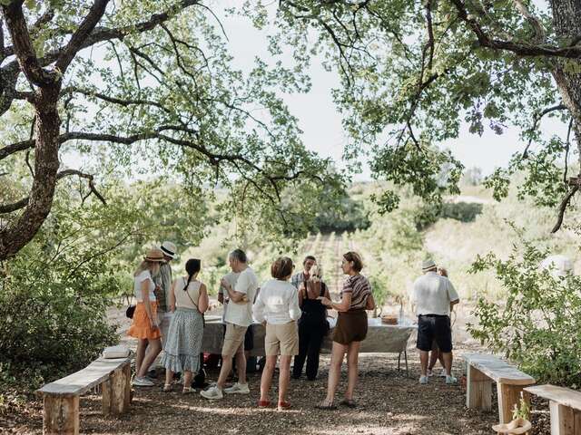 Balades vigneronnes "Au chemin du bonheur"