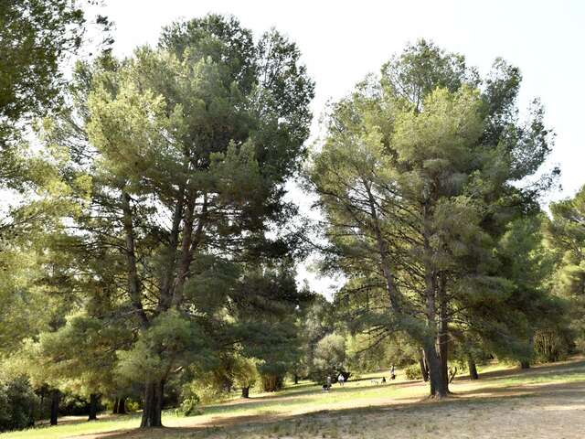 Parc de la colline Saint-Joseph