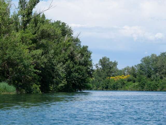 Île de la Barthelasse