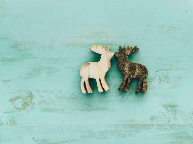 Atelier "Déco Bois"