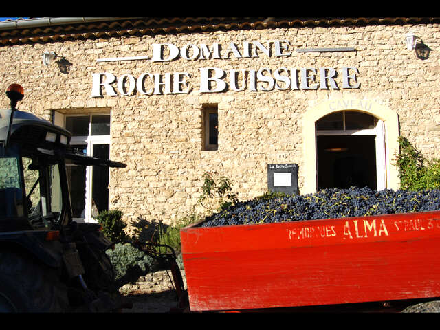 Domaine La Roche Buissière