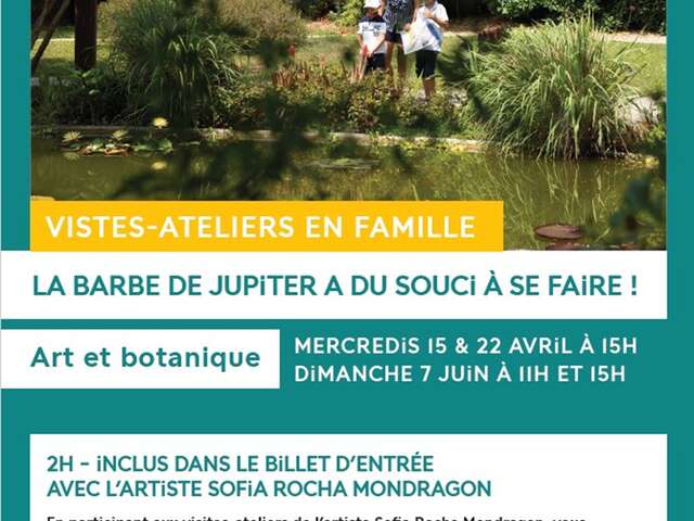 Visite-atelier famille au Val Rahmeh : la Barbe de Jupiter a du Souci à se faire !